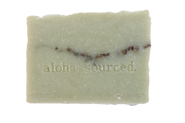 Winter Spruce Bamboo Soap